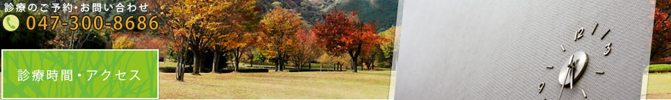 診療時間・アクセス