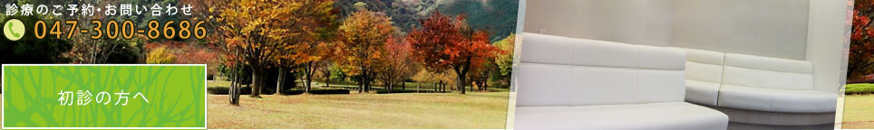 診療内容について